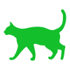 a green cat
